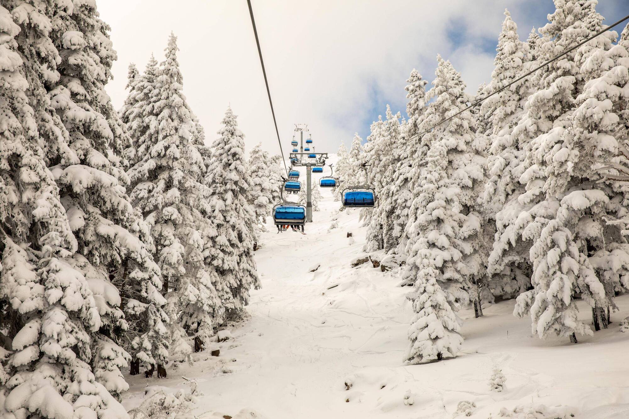 Dorukkaya Ski & Mountain Resort Bolu Ngoại thất bức ảnh